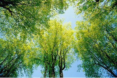 传《战地2042》第一赛季将于6月9日上线